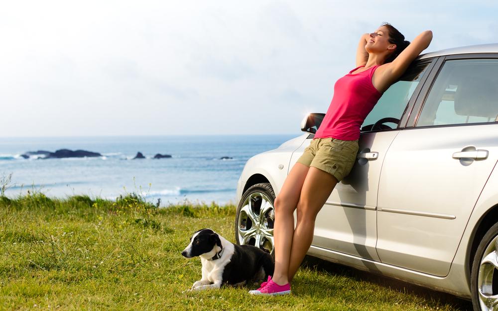 5 Things to Consider When Traveling with Pets