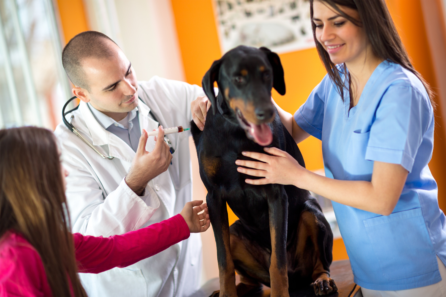 Home Remedies to Prevent Fleas and Ticks in Dogs