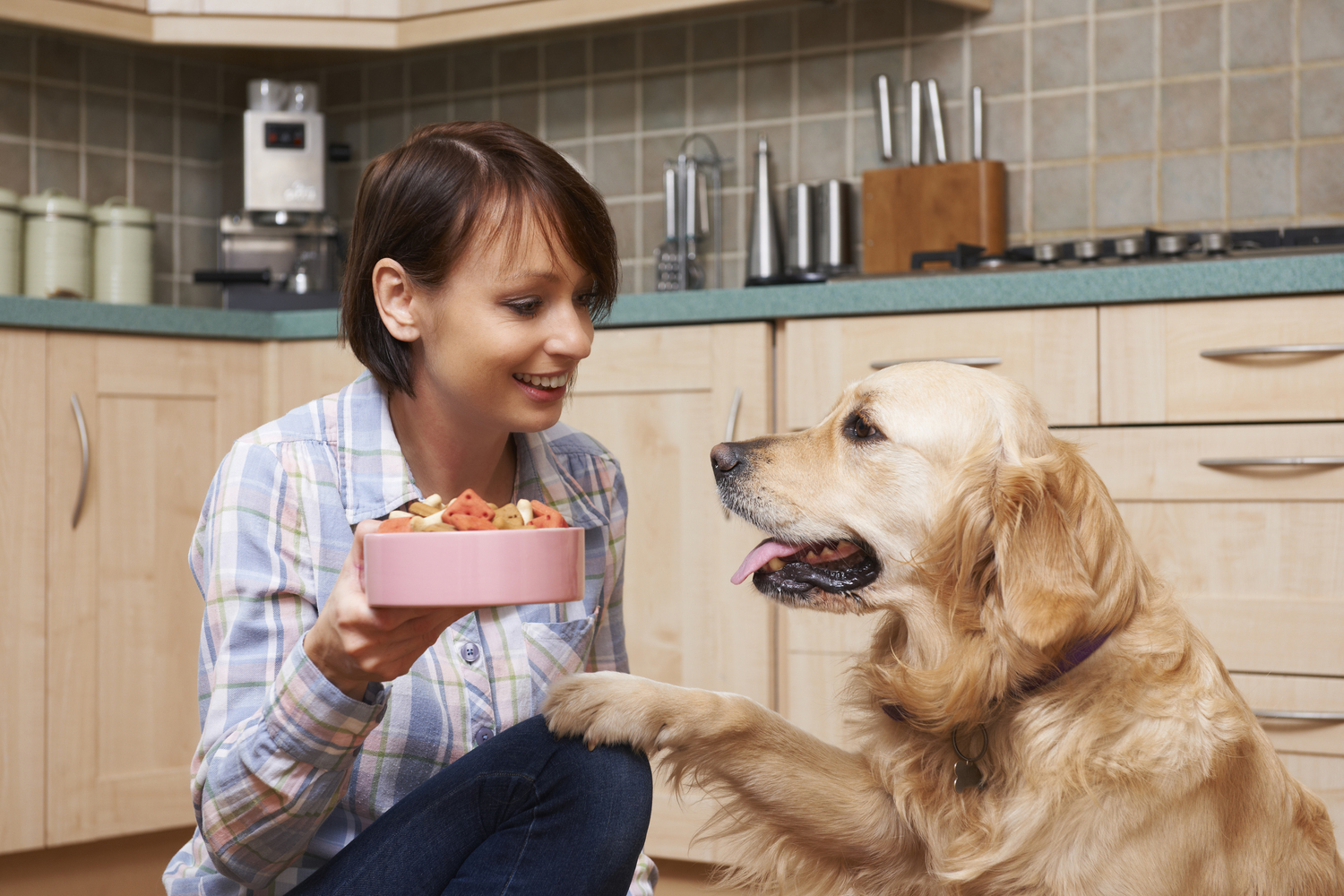 Human Foods that are Safe for Dogs to Eat