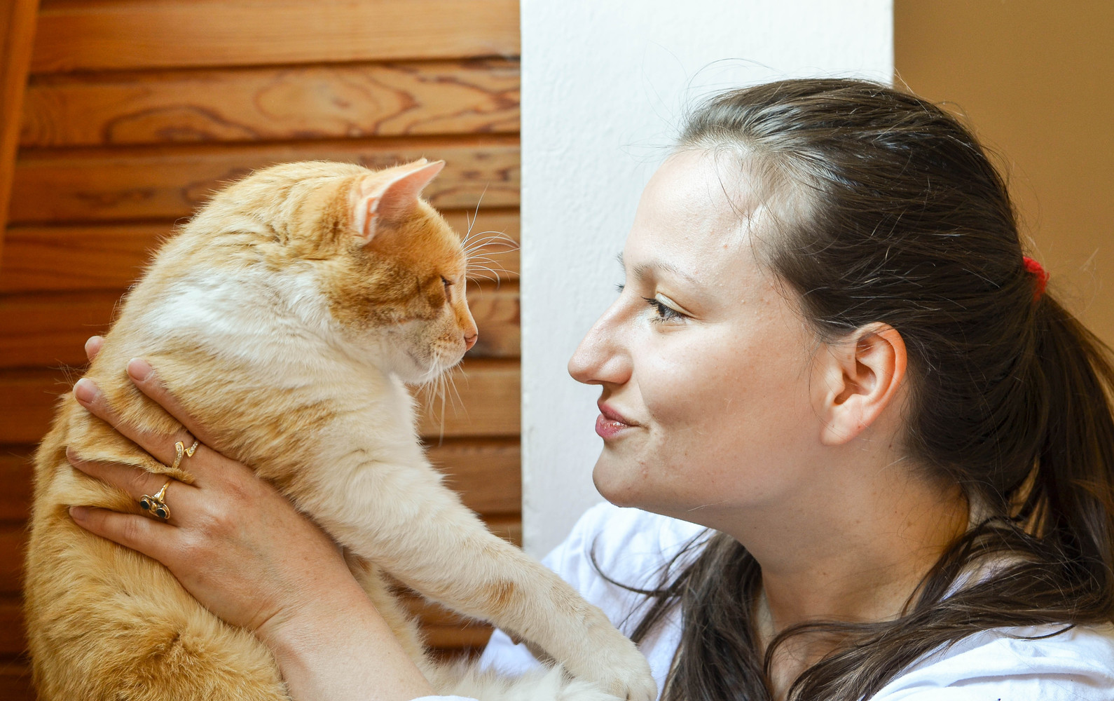 Human Foods that are Unsafe for Cats